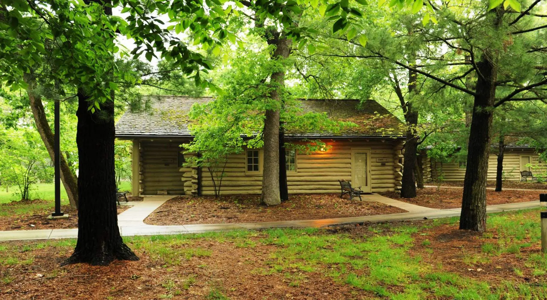 Una cabaña de madera entre los árboles