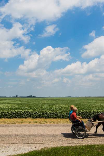 Dos personas sentadas en un Buggie Amish transportado por caballos en el campo