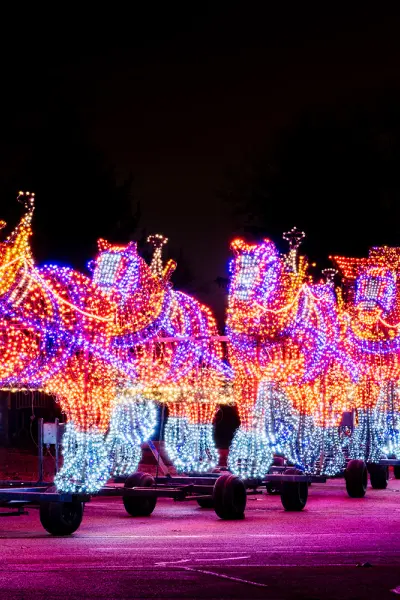 Festival de las Luces