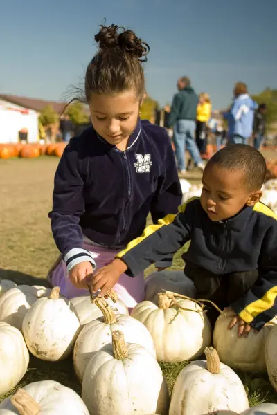 Dos niños pequeños con chaquetas eligiendo calabazas en un huerto de calabazas, con más calabazas y decoración otoñal visibles al fondo.
