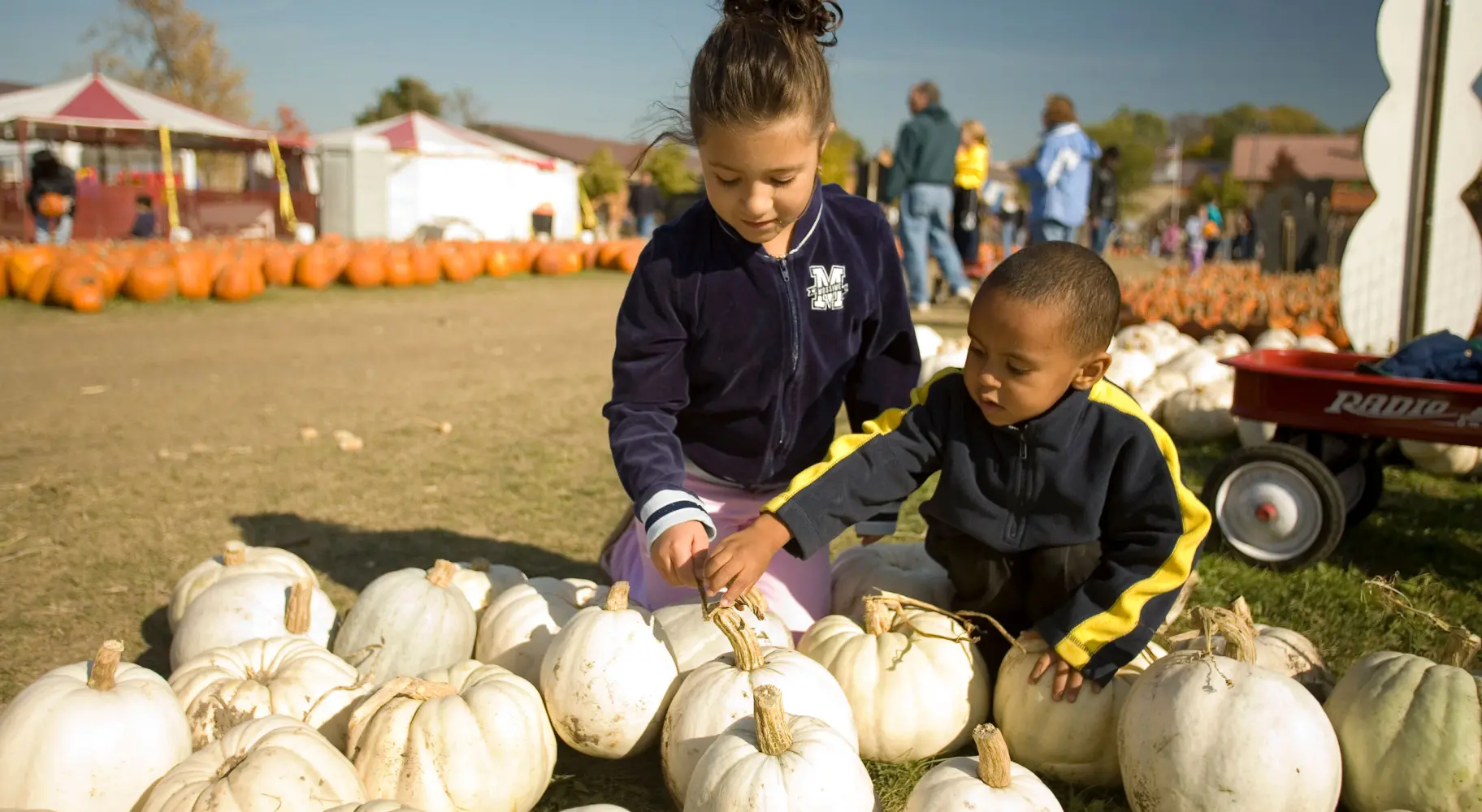 Niños inspeccionando calabazas