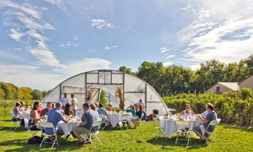 Grupos de personas sentadas alrededor de mesas al sol disfrutan de la comida y la bebida.