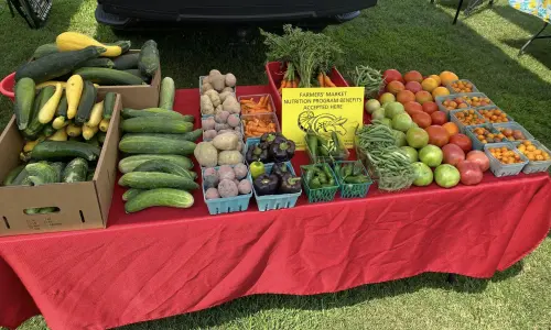 Una mesa con productos frescos en el mercado agrícola de Benton