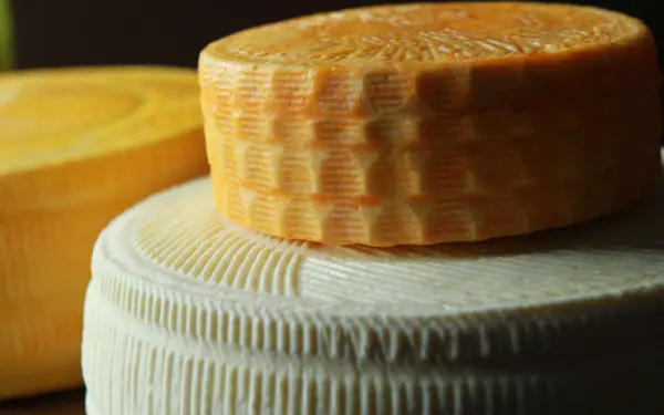 Dos ruedas de queso elaboradas por Marcoot Jersey Creamery en Greenville