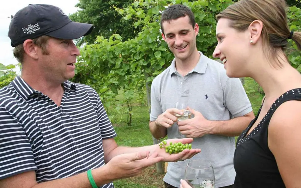 Un enólogo habla de las variedades de uva con los visitantes de Galena Cellars Vineyard and Winery.