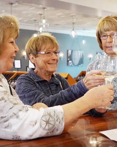 Las mujeres brindan con copas de vino