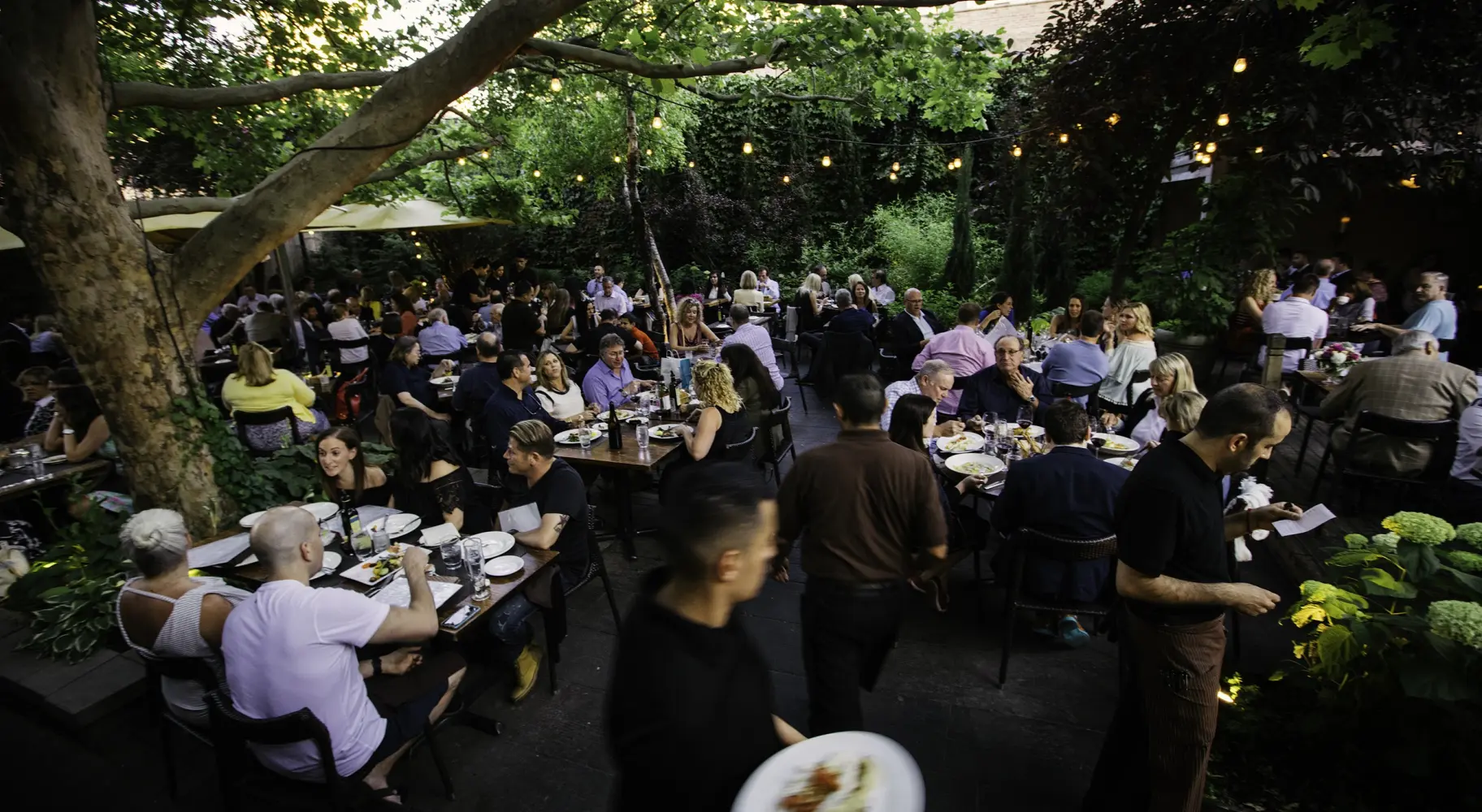 Un concurrido comedor al aire libre al atardecer, con mesas entre los árboles