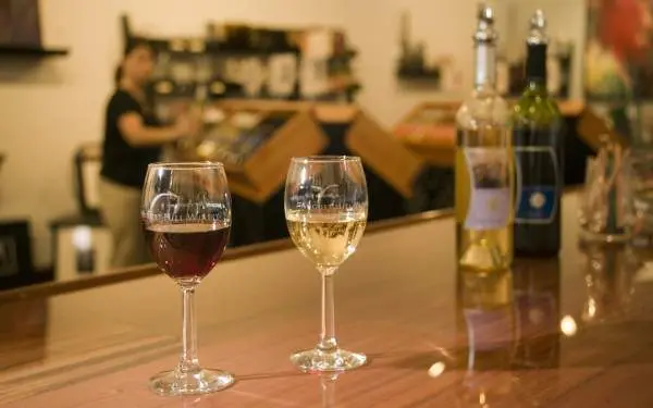 Copas y botellas de vino sobre una mesa