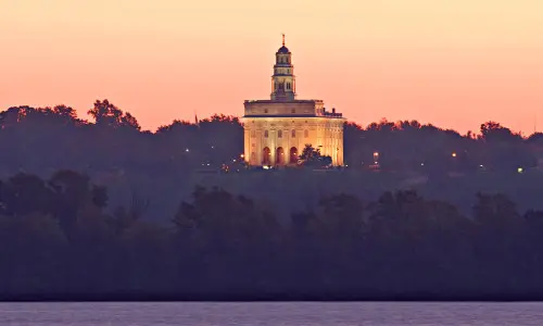 Un templo con luces detrás de árboles y un río