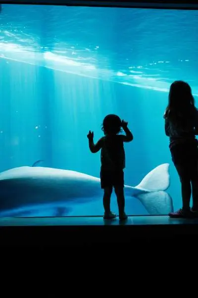 Niños mirando un acuario