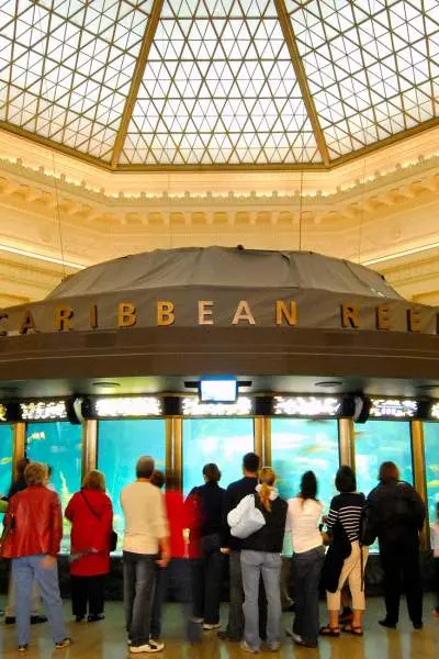 Gente rodeando la exposición Arrecife del Caribe en el acuario Shedd.