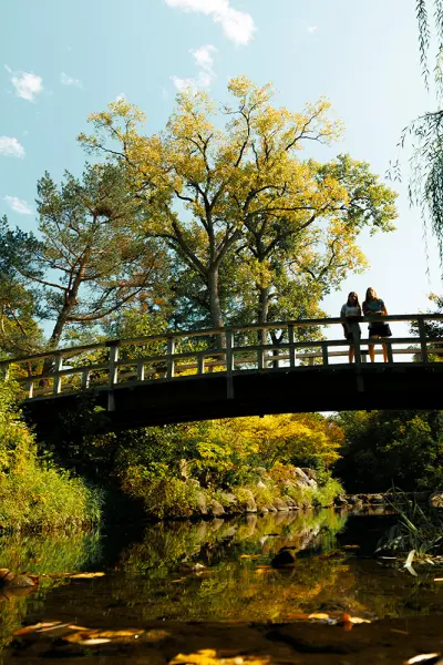 Jardines japoneses Anderson