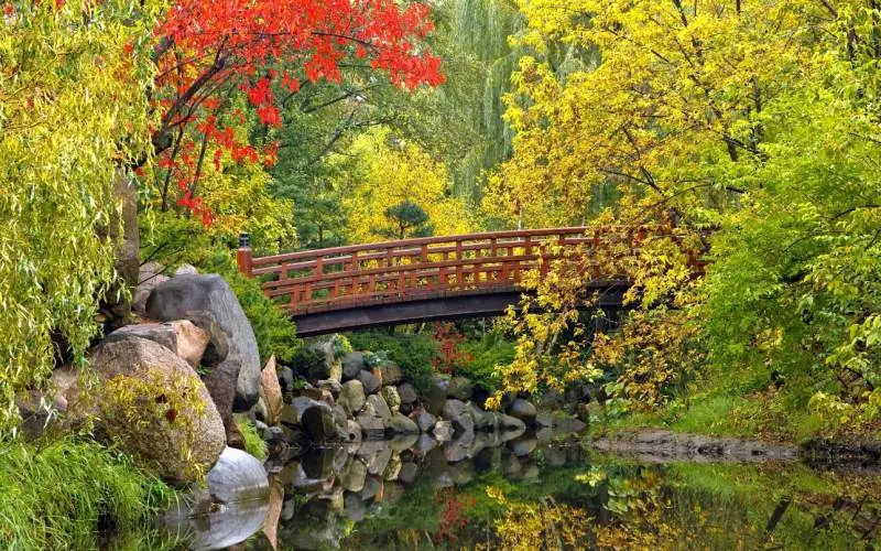 Un puente atraviesa un estanque rodeado de follaje otoñal