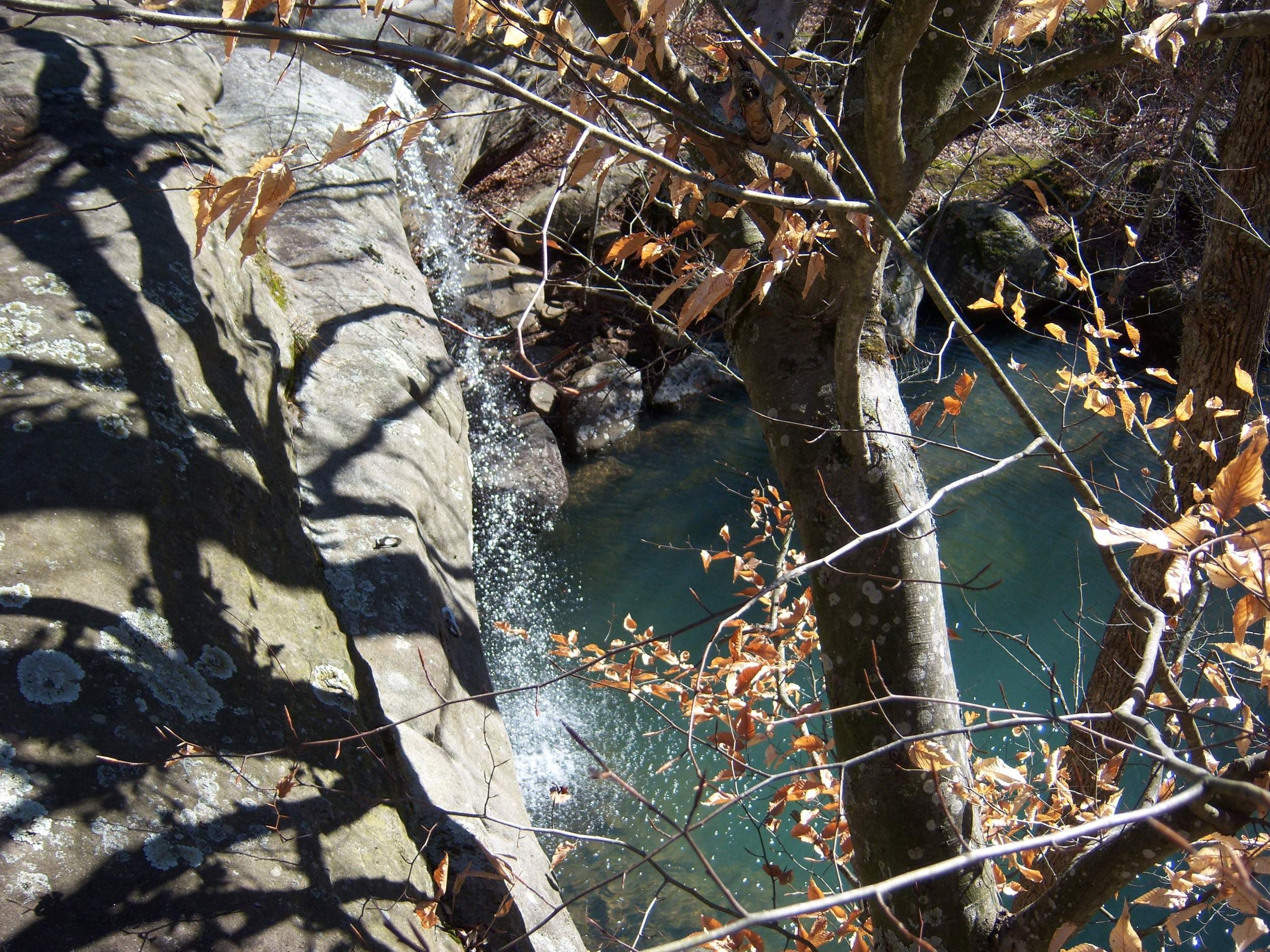 Un arroyo que cae en cascada sobre las rocas entre los árboles al final del otoño