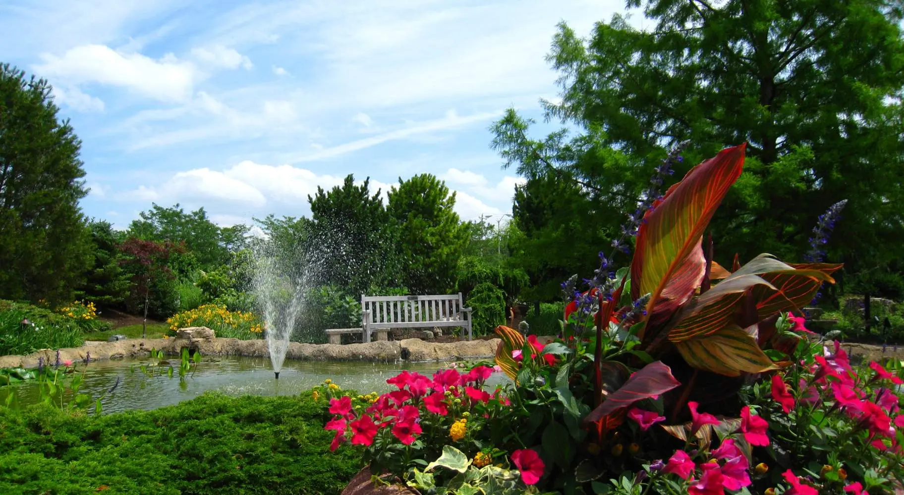 Un jardín con un estanque, una silla y algunas flores