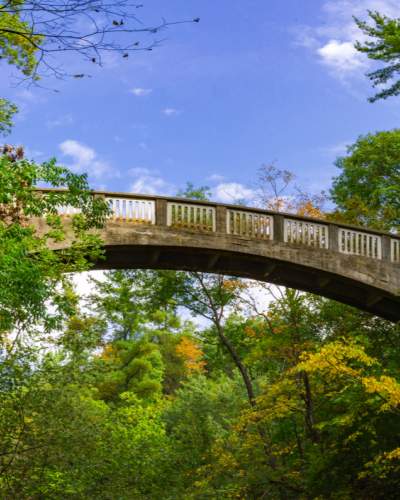 Un puente que se extiende entre dos zonas boscosas, bajo un cielo azul