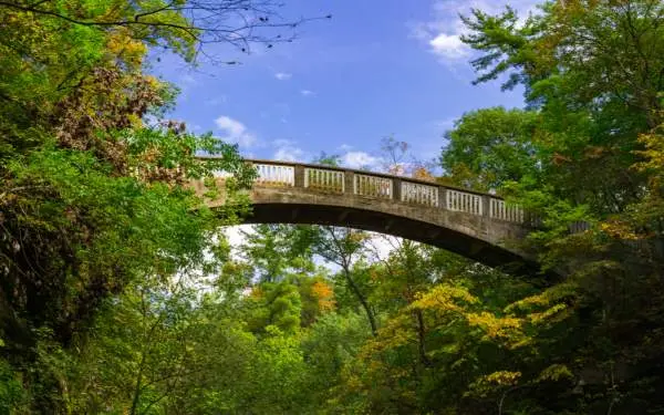 Un puente que se extiende entre dos zonas boscosas, bajo un cielo azul