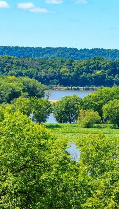 Río y árboles de Casper Bluff