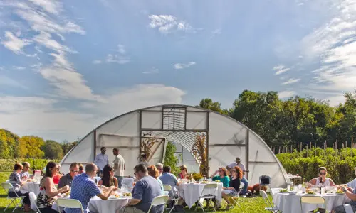 Gente en el exterior con una gran carpa