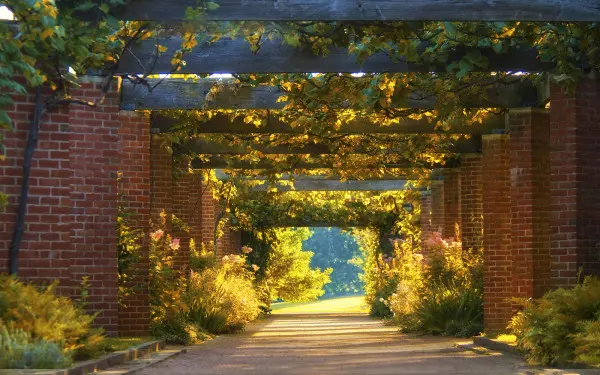 Foto del sendero Garden Grape Arbor en el Jardín Botánico Chicago .