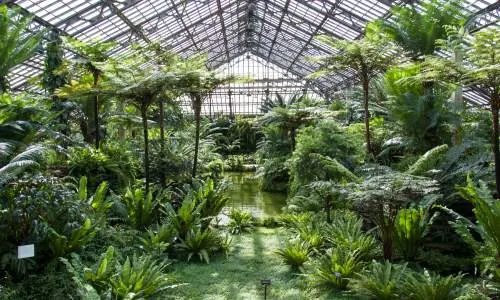 Invernadero interior.