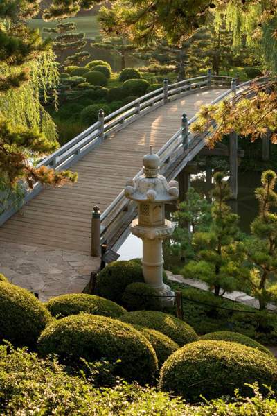 Un jardín con puente