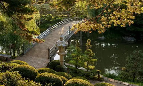 Un jardín con puente