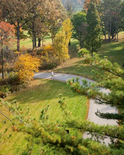 Una persona corre por el Morton Arboretum durante el otoño