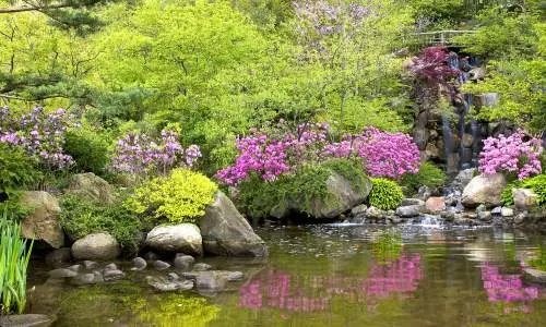 Estanque en el Jardín Anderson.