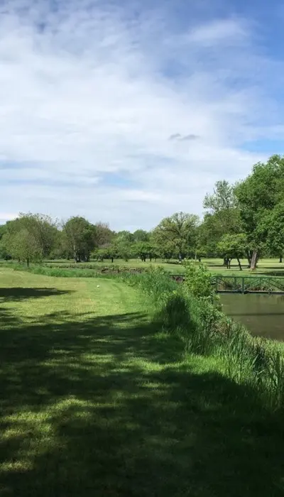 Campos verdes y árboles