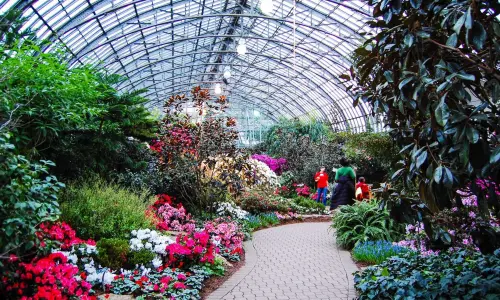 Parque interior lleno de flores y vegetación. 