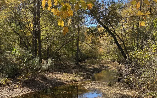 Colores otoñales en Illinois