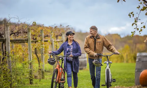 Una pareja paseando con sus bicicletas entre las viñas