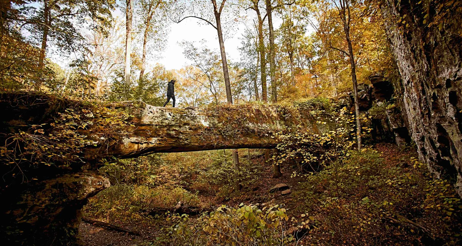 Una persona camina por el puente natural de Pomona, en el Bosque Nacional de Shawnee.
