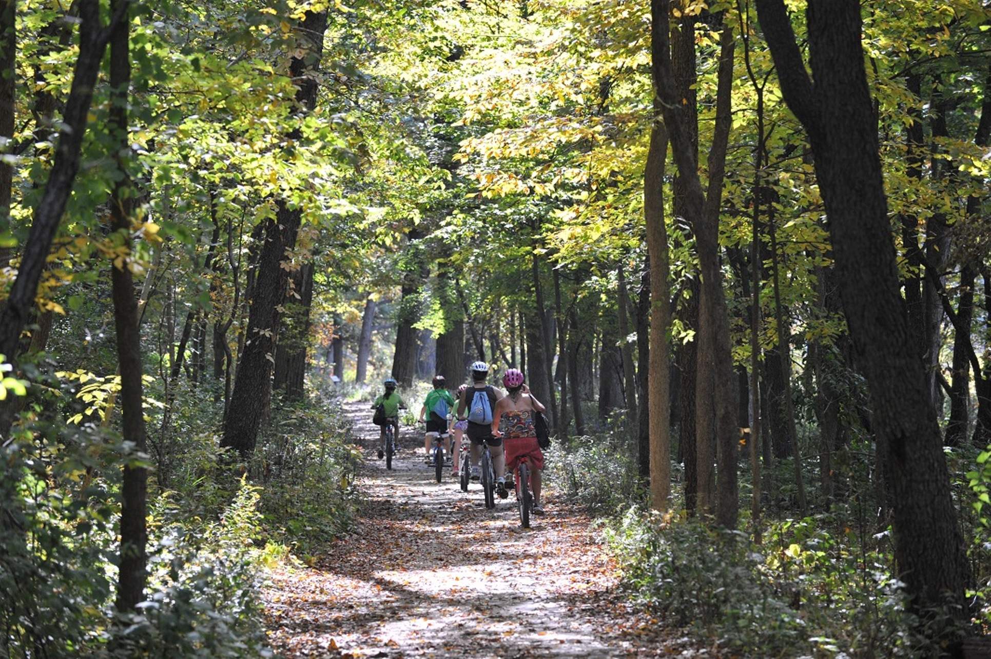 Un grupo de personas pedalea por el Fox River Trail, entre árboles arbolados