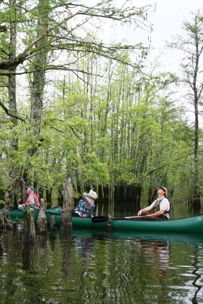 Gente en una barca remando entre agua y árboles