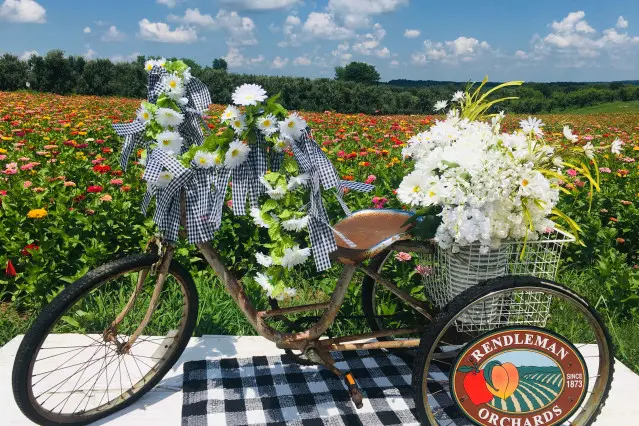 Bicicleta con flores