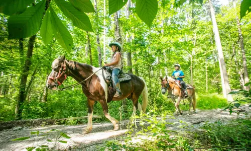 A caballo por un sendero