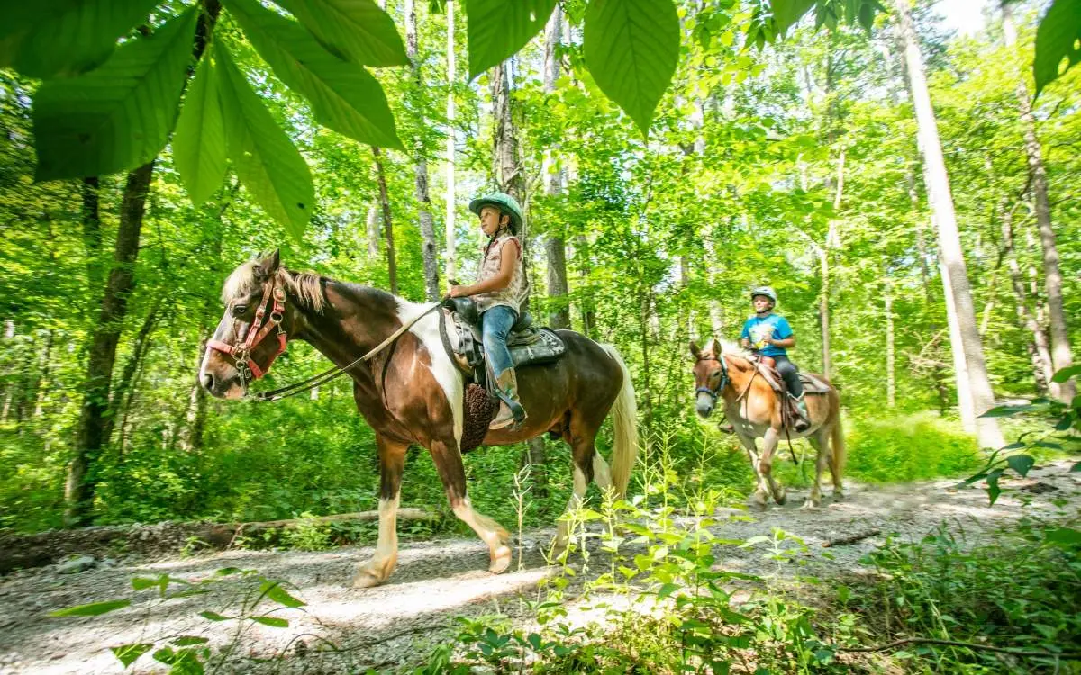 A caballo por un sendero