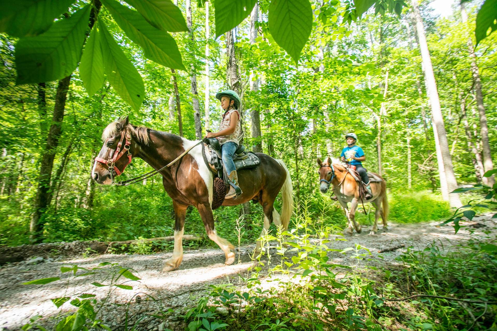 A caballo por un sendero 