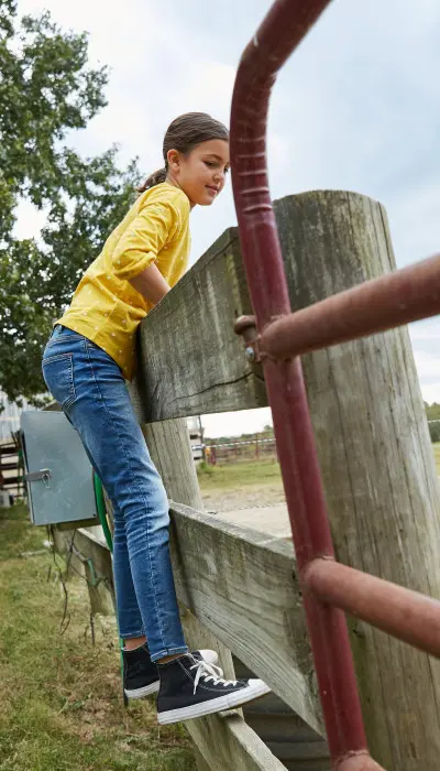 Niños mirando por encima de la valla a un caballo