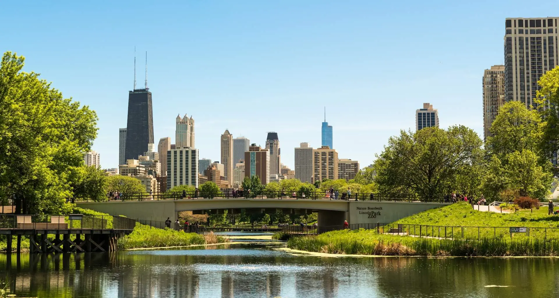 Tierra verde y árboles con un puente y edificios urbanos detrás
