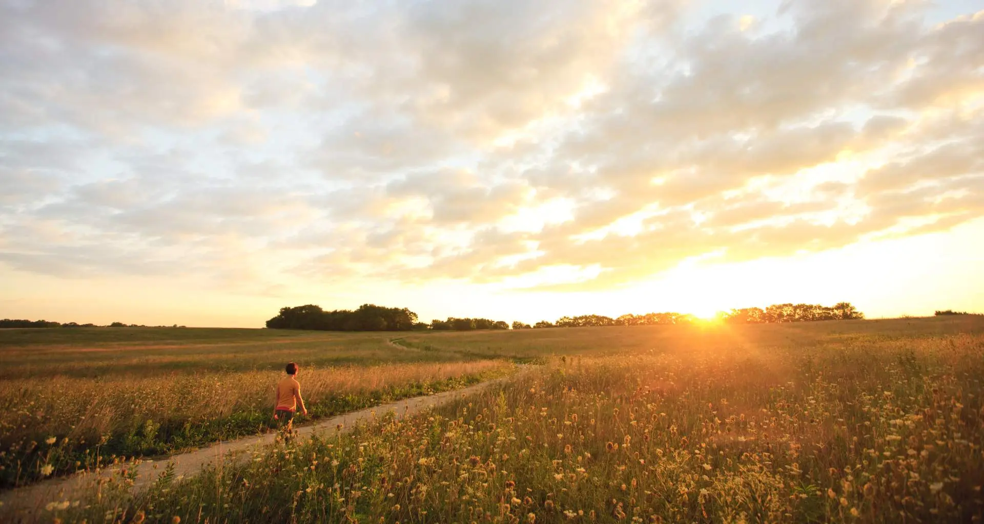 Persona caminando por Midewin National Tallgrass Prairie al atardecer 