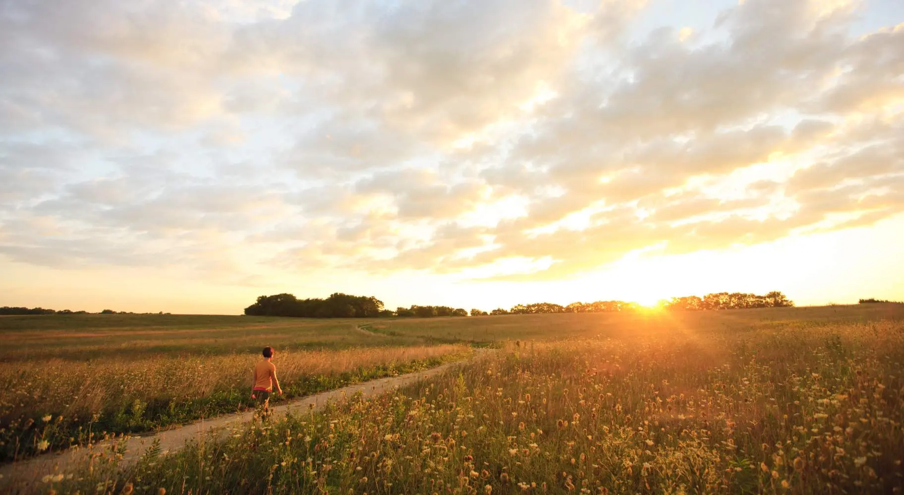 Persona caminando por Midewin National Tallgrass Prairie al atardecer 