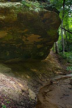 Una cueva rocosa en el bosque