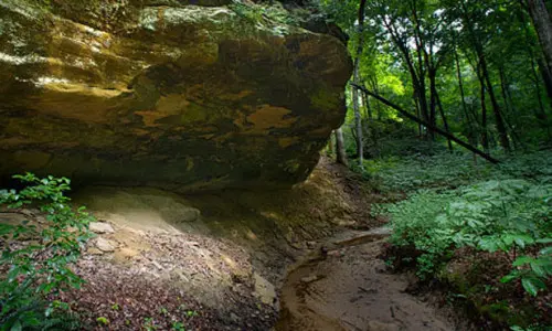 Una cueva rocosa en el bosque