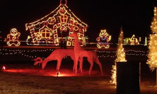 renos y otros juegos de luces festivos 