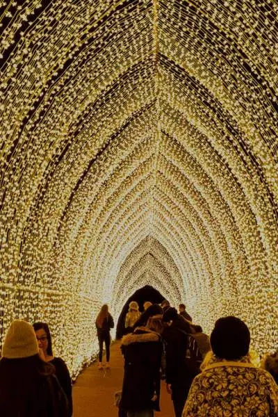 Un túnel de luces