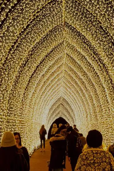 Un túnel de luces