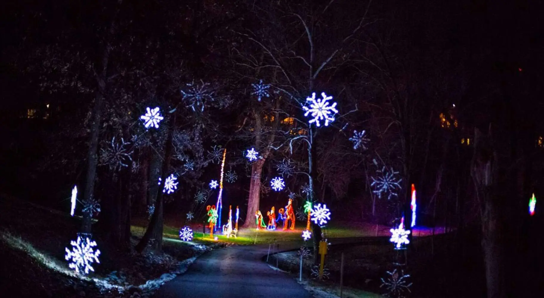 Wonderland in Lights en Effingham